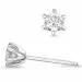 2 x 0,30 ct lab grown diamant solitaireørepynt i 14 karat hvitt gull med lab grown diamant 