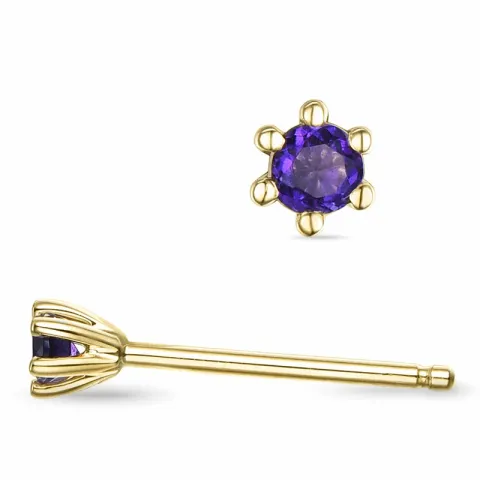 2 x 0,05 ct ametyst solitaireørepynt i 14 karat gull med ametyst