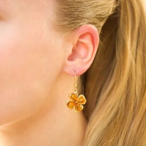 rav øredobber i forgylt sølv