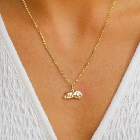 katt anheng i 8 karat