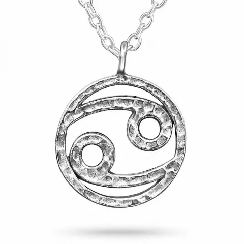 Stjernetegn krepsen halskjede i sølv med anheng i sølv