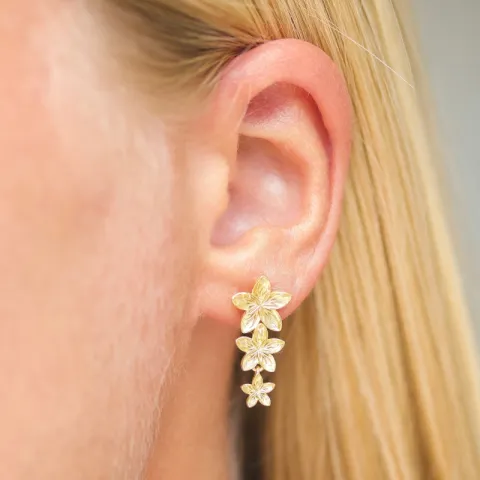 Nava Tiara øredobber i forgylt sølv