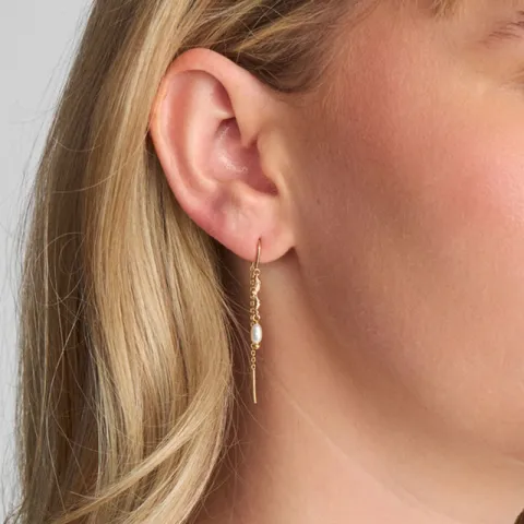 Studio Z Tangled perle ear lines i forgylt sølv