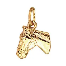 Aagaard hester anheng i 8 karat