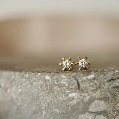 2 x 0,05 ct kampanje - diamant solitaireørepynt i 14 karat gull med diamant 