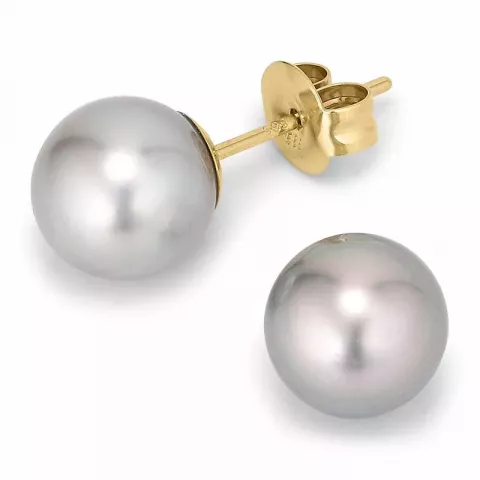 8,5-9 mm a-graded tahiti perle ørestikker i 14 karat gull