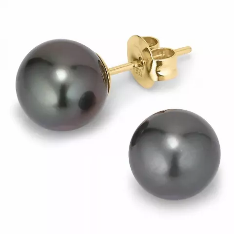9,5-10 mm a-graded tahiti perle ørestikker i 14 karat gull