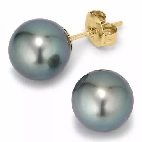9,5-10 mm a-graded tahiti perle ørestikker i 14 karat gull