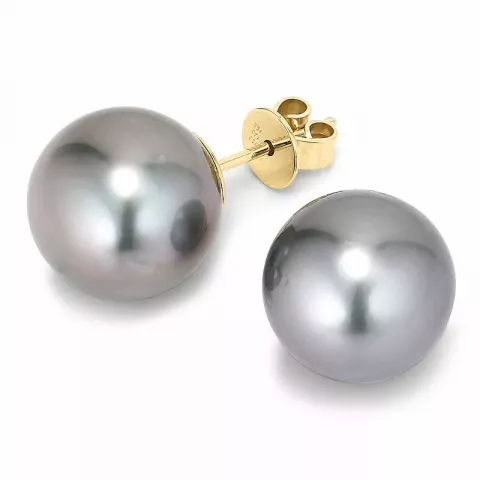 10 - 11 mm a-graded tahiti perle ørestikker i 14 karat gull