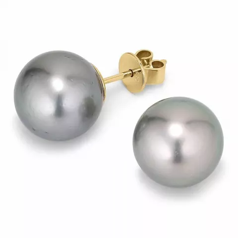 10 - 11 mm a-graded tahiti perle ørestikker i 14 karat gull
