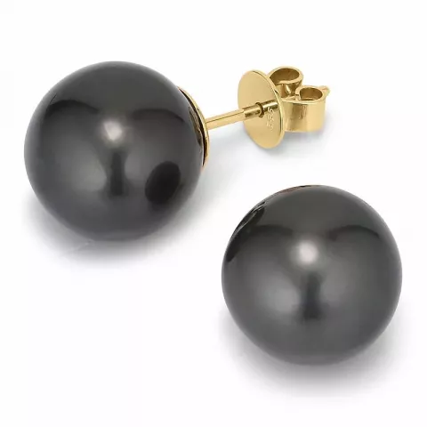 11 - 12 mm a-graded tahiti perle ørestikker i 14 karat gull