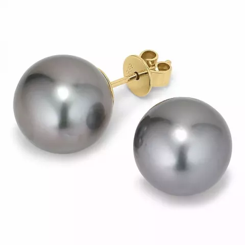 11 - 12 mm a-graded tahiti perle ørestikker i 14 karat gull