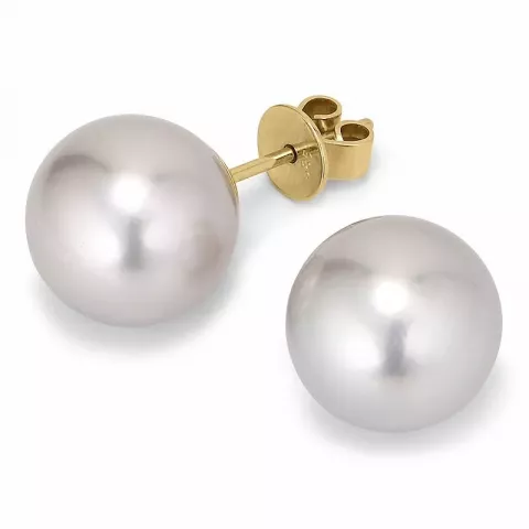 10 - 11 mm a-graded grå tahiti perle ørestikker i 14 karat gull
