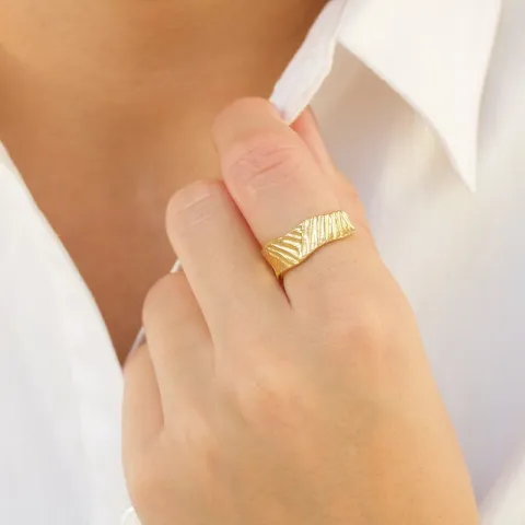 ring i forgylt messing - Eliné