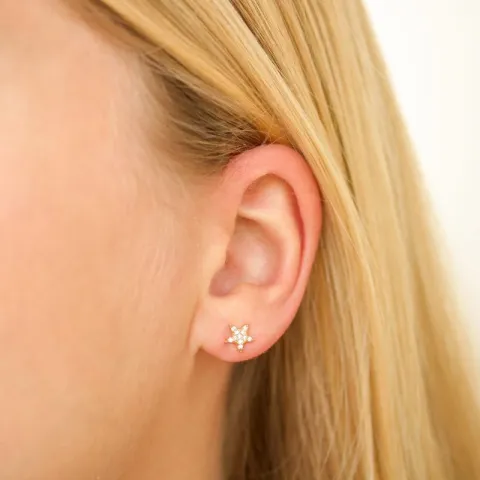 stjerne zirkon øredobber i forgylt messing - Eliné