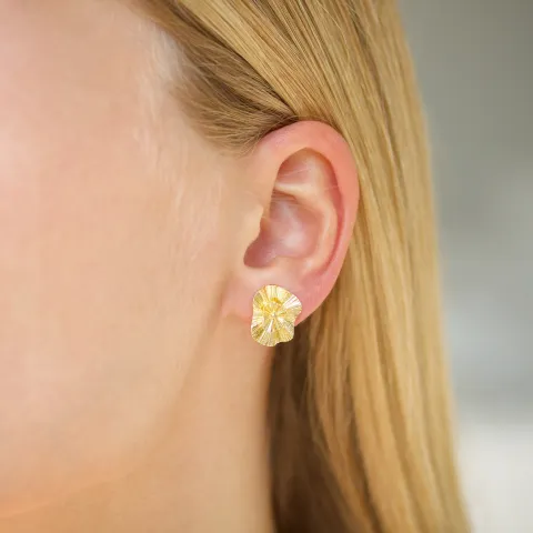 øredobber i forgylt messing - Eliné