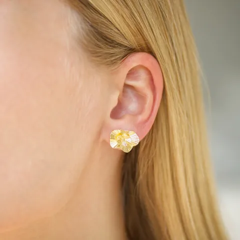 øredobber i forgylt messing - Eliné