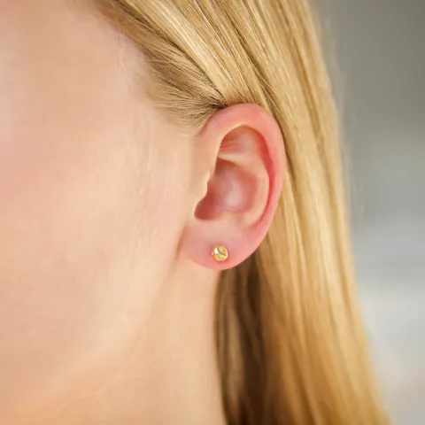 5 mm vanntette ørestikker i forgylt stål - OCEANA