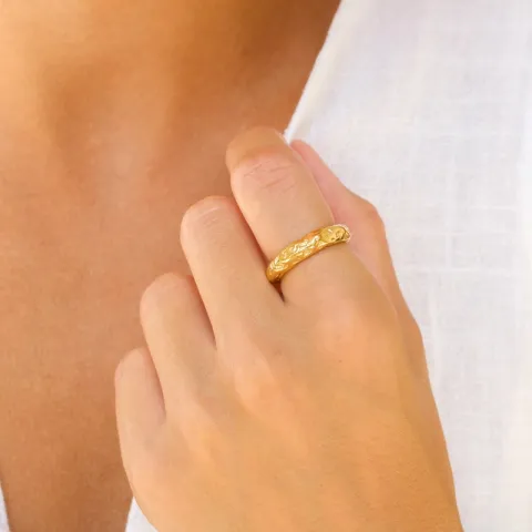 vanntett ring i forgylt stål - OCEANA