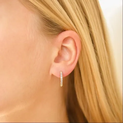 17 mm vanntette zirkon creol i forgylt stål - OCEANA