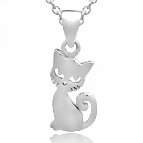 Katt sett med øredobber og halskjeder i sølv