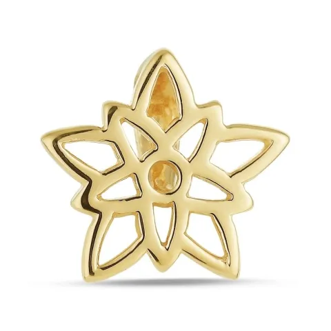 Fødselsblomst desember julestjerne anheng i forgylt sølv