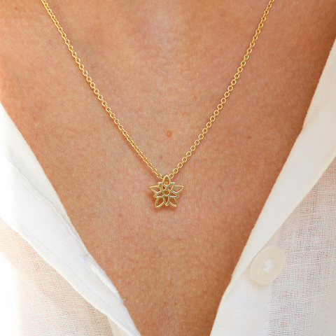 Fødselsblomst desember julestjerne anheng i forgylt sølv