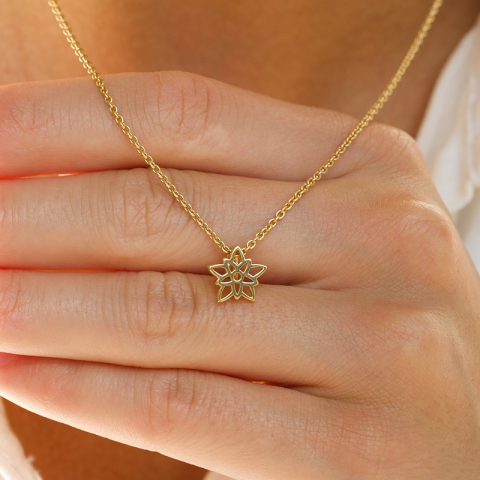 Fødselsblomst desember julestjerne anheng i forgylt sølv