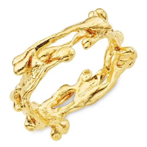 ring i forgylt sølv