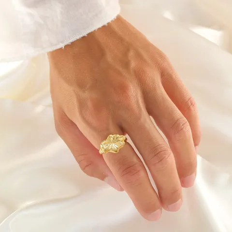 ring i forgylt sølv