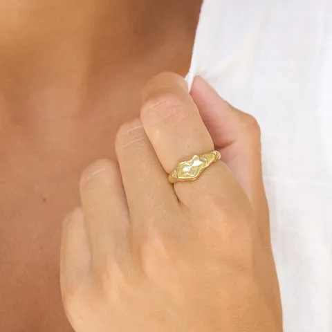ring i forgylt sølv