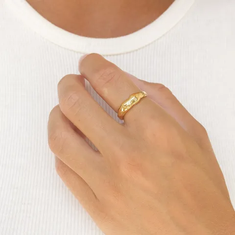 ring i forgylt sølv