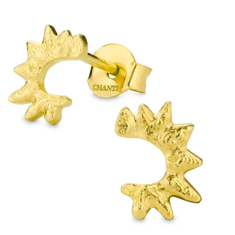 øredobber i forgylt messing - Eliné