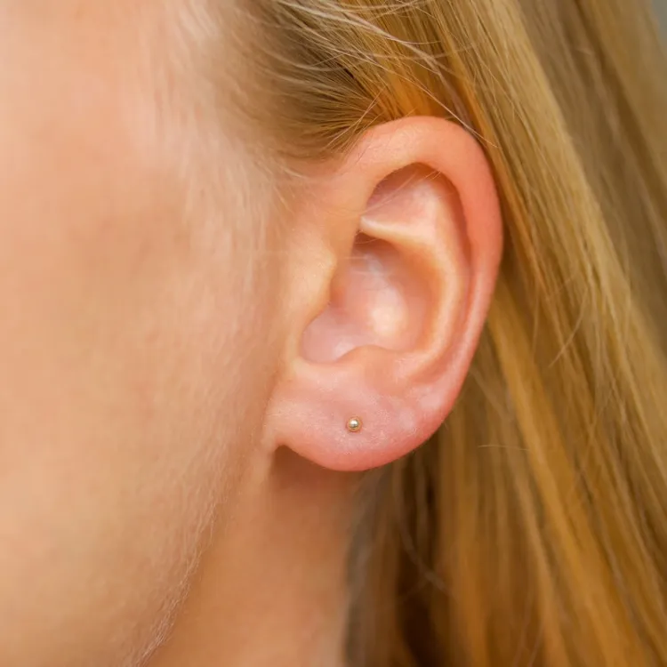 2 mm kule ørestikker i 14 karat gull - Gold Collection