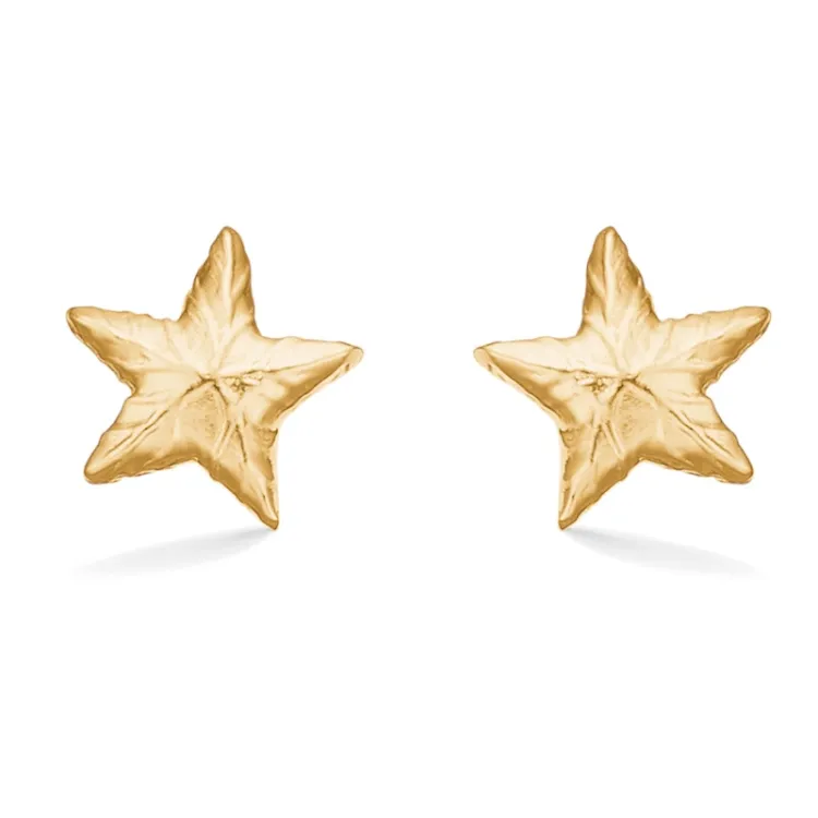 Studio Z Shiny Star øredobber i forgylt sølv