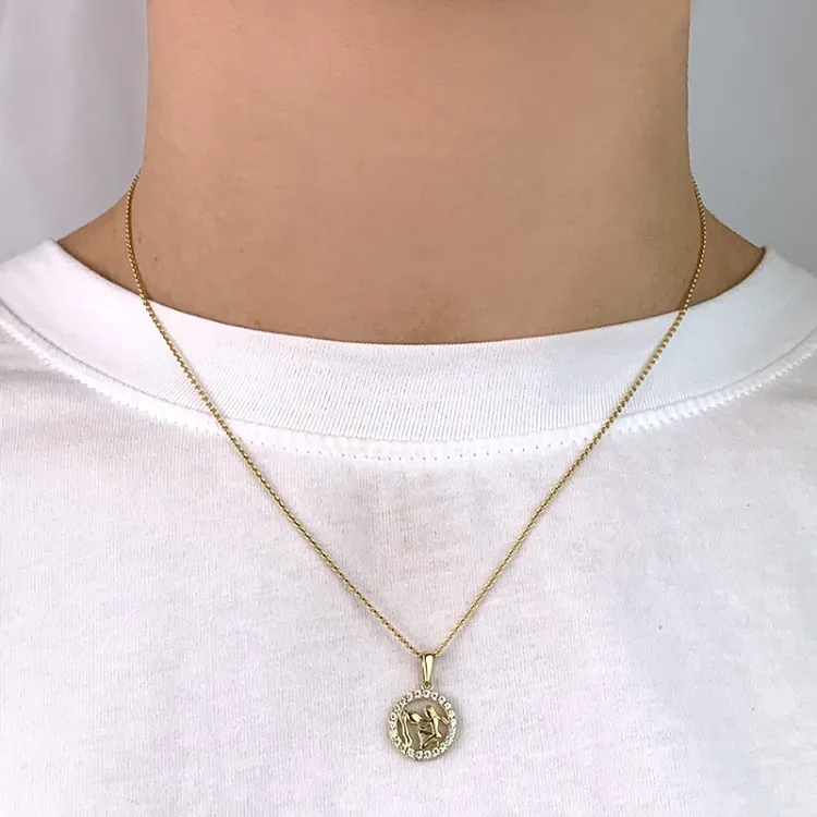 stjernetegn vannmannen zirkon anheng i 8 karat - Gold Collection