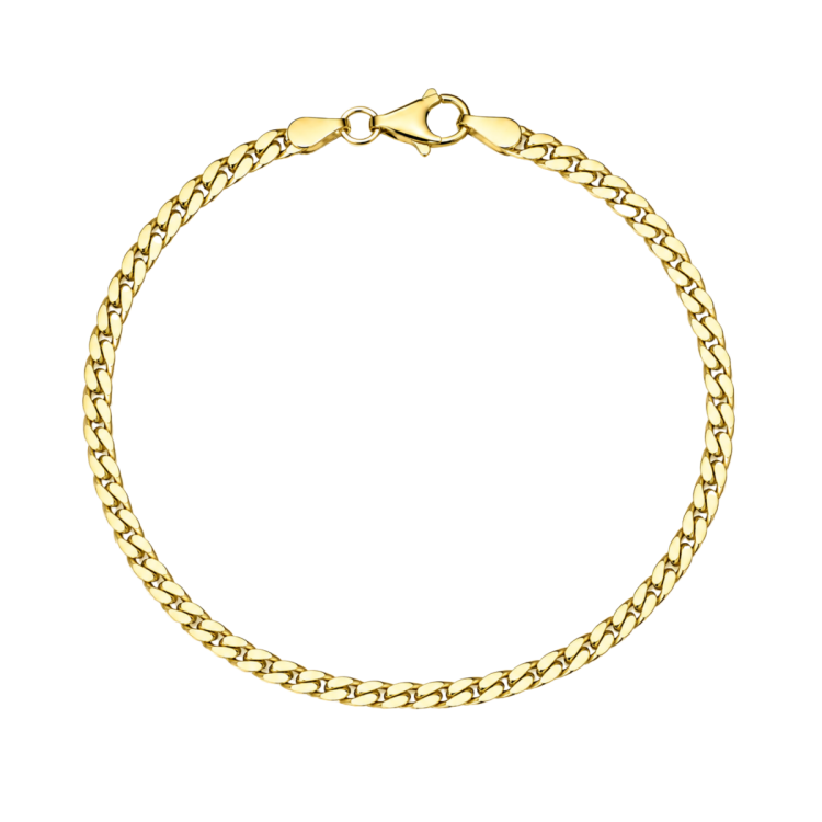 BNH panserarmbånd i forgylt sølv 21 cm x 2,7 mm