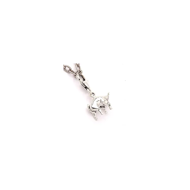 Tyren stjernetegnet charm i sølv