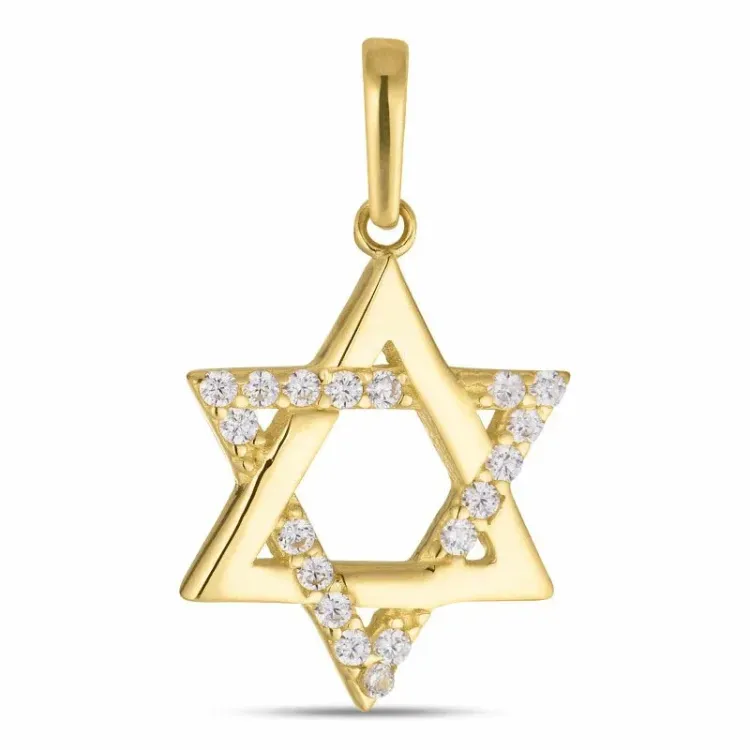 kolleksjonsprøve davidstjerne zirkon anheng i 8 karat - Gold Collection