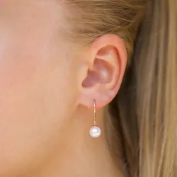 Runde 7 - 8 mm aaa-gradert ferskvannsperle øredobber i 14 karat gull med