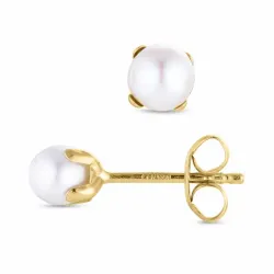 5 mm runde perleøredobb i 9 karat gull - Gold Collection