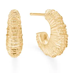 Studio Z Seashell Secrets ørestikker i forgylt sølv