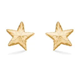 Studio Z Shiny Star øredobber i forgylt sølv