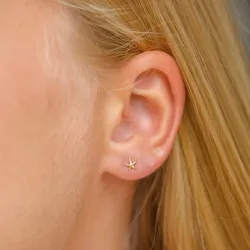 sjøstjerne ørestikker i forgylt sølv - Lumé Etched