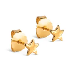 Enamel Star Energy ørestikker i forgylt sølv