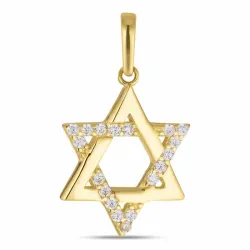 kolleksjonsprøve davidstjerne zirkon anheng i 8 karat - Gold Collection